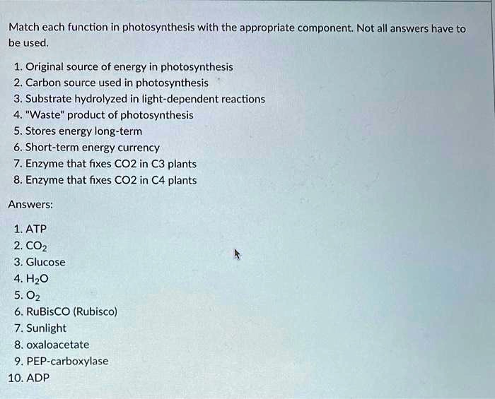 Match each function in photosynthesis with the appropriate component. Not all answers have to be used.

1. Original source of energy in photosynthesis
2. Carbon source used in photosynthesis
3. Substrate hydrolyzed in light-dependent reactions
4. "Waste" product of photosynthesis
5. Stores energy long-term
6. Short-term energy currency
7. Enzyme that fixes CO2 in C3 plants
8. Enzyme that fixes CO2 in C4 plants

Answers:

1. ATP
2. CO2
3. Glucose
4. H2O
5. O2
6. RuBisCO (Rubisco)
7. Sunlight
8. oxaloacetate
9. PEP-carboxylase
10. ADP