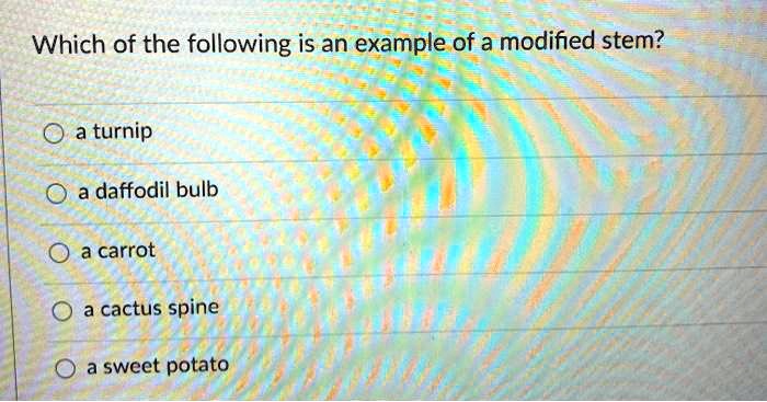Which of the following is an example of a modified stem?
a turnip
a daffodil bulb
a carrot
a cactus spine
a sweet potato