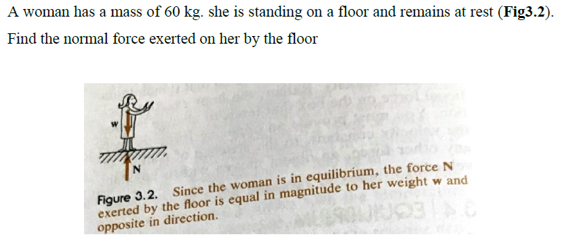 A woman has a mass of ( 60 mathrm kg ). she is standing on a floor and remains at rest (Fig3.2). Find the normal force exerted on her by the floor
Figure 3.2. Since the woman is in equilibrium, the force ( mathrmN ) exerted by the floor is equal in magnitude to her weight ( w ) and opposite in direction.