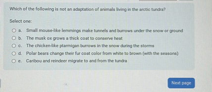 Which of the following is not an adaptation of animals living in the arctic tundra?

Select one:
a. Small mouse-like lemmings make tunnels and burrows under the snow or ground
b. The musk ox grows a thick coat to conserve heat
c. The chicken-like ptarmigan burrows in the snow during the storms
d. Polar bears change their fur coat color from white to brown (with the seasons)
e. Caribou and reindeer migrate to and from the tundra
