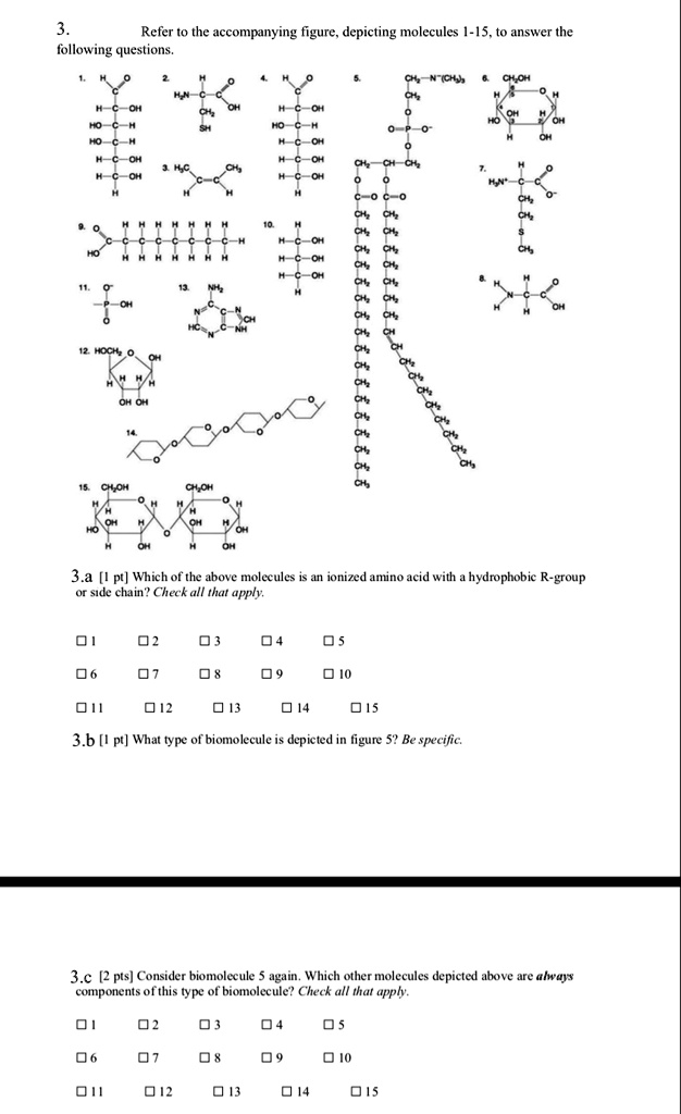 3. Refer to the accompanying figure, depicting molecules 1-15, to answer the following questions.

3.a [1 pt] Which of the above molecules is an ionized amino acid with a hydrophobic R-group or side chain? Check all that apply.

? 1 ? 2 ? 3 ? 4 ? 5
? 6 ? 7 ? 8 ? 9 ? 10
? 11 ? 12 ? 13 ? 14 ? 15

3.b [1 pt] What type of biomolecule is depicted in figure 5? Be specific.

3.c [2 pts] Consider biomolecule 5 again. Which other molecules depicted above are always components of this type of biomolecule? Check all that apply.

? 1 ? 2 ? 3 ? 4 ? 5
? 6 ? 7 ? 8 ? 9 ? 10
? 11 ? 12 ? 13 ? 14 ? 15