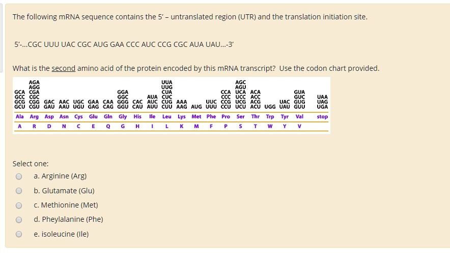 The following mRNA sequence contains the 5' – untranslated region (UTR) and the translation initiation site.

5'–...CGC UUU UAC CGC AUG GAA CCC AUC CCG CGC AUA UAU...–3'

What is the second amino acid of the protein encoded by this mRNA transcript? Use the codon chart provided.

AGA AGG
GCA CGA
GCC CGC
GCG CGG
GCU CGU

GAC AAC
GAU AAU

UGC
UGU

GAA CAA
GAG CAG

GGA
GGC
GGG CAC
GGU CAU

AUA
AUC
AUU

UUA
UUG
CUA
CUC
CUG AAA
CUU AAG

AUG

UUC
UUU

CCA
CCC
CCG
CCU

AGC
AGU
UCA ACA
UCC ACC
UCG ACG
UCU ACU

UGG

UAC
UAU

GUA
GUC
GUG
GUU

UAA
UAG
UGA

Ala Arg Asp Asn Cys Glu Gln Gly His Ile Leu Lys Met Phe Pro Ser Thr Trp Tyr Val stop
A R D N C E Q G H I L K M F P S T W Y V

Select one:
a. Arginine (Arg)
b. Glutamate (Glu)
c. Methionine (Met)
d. Pheylalanine (Phe)
e. isoleucine (Ile)