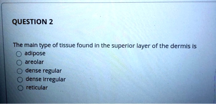 The main type of tissue found in the superior layer of the dermis is adipose areolar dense regular dense irregular reticular