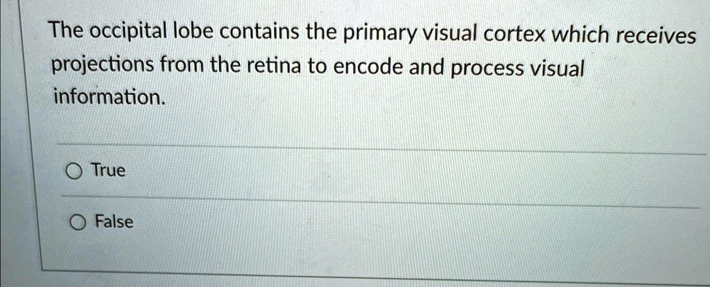 The occipital lobe contains the primary visual cortex which receives ...
