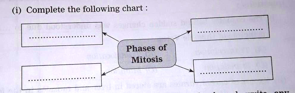 'complete the following chart (i) Complete the following chart Phases ...