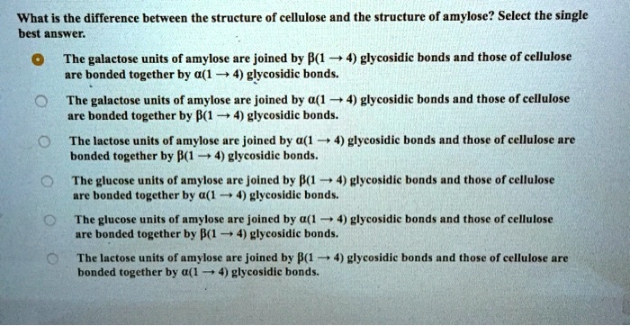 Solved What Is The Difference Between The Structure Of Cellulose And The Structure Of Amylose 