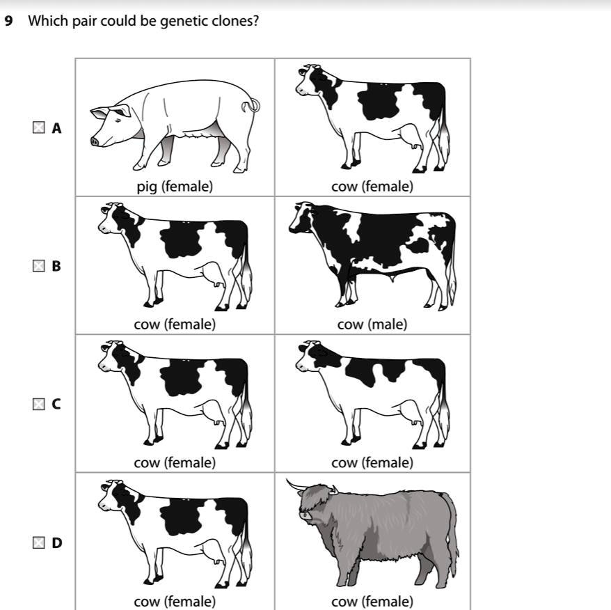 Solved: 'which Pair Could Be Genetic Clones? Look At The Photo Which 