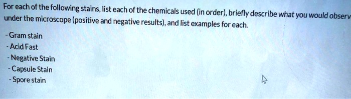 For each of the following stains, list each of the chemicals used (in order), briefly describe what you would observ
under the microscope (positive and negative results), and list examples for each.
- Gram stain
- Acid Fast
- Negative Stain
- Capsule Stain
- Spore stain