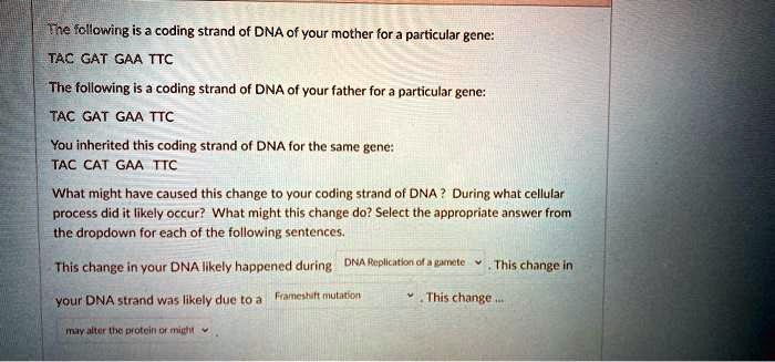 SOLVED: The fcllcwing is a coding strand of DNA of your mother for a ...