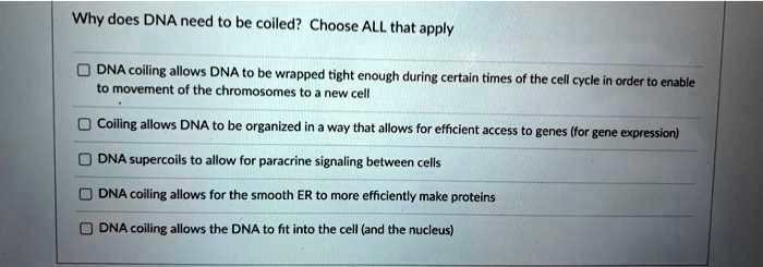 Why does DNA need to be coiled? Choose ALL that apply

DNA coiling allows DNA to be wrapped tight enough during certain times of the cell cycle in order to enable to movement of the chromosomes to a new cell
Coiling allows DNA to be organized in a way that allows for efficient access to genes (for gene expression)
DNA supercoils to allow for paracrine signaling between cells
DNA coiling allows for the smooth ER to more efficiently make proteins
DNA coiling allows the DNA to fit into the cell (and the nucleus)