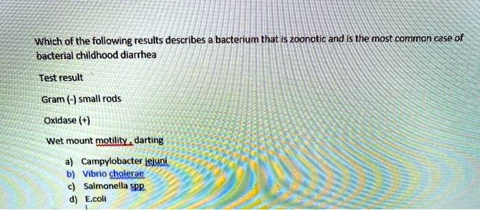 Which of the following results describes a bacterium that is zoonotic and is the most common case of bacterial childhood diarrhea

Test result

Gram (-) small rods
Oxidase (+)
Wet mount motility, darting

a) Campylobacter jejuni
b) Vibrio cholerae
c) Salmonella spp.
d) E.coli