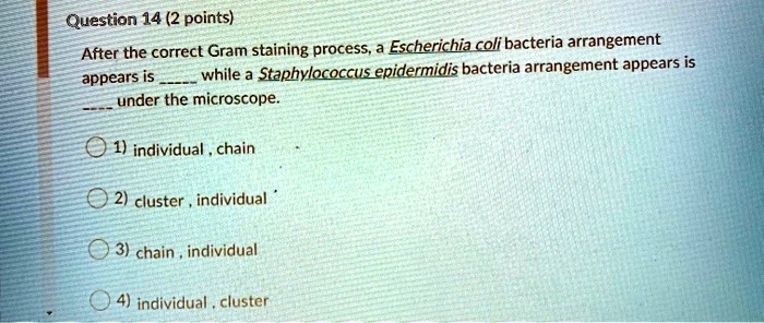 SOLVED: Question 14 (2 points) After the correct Gram staining process ...