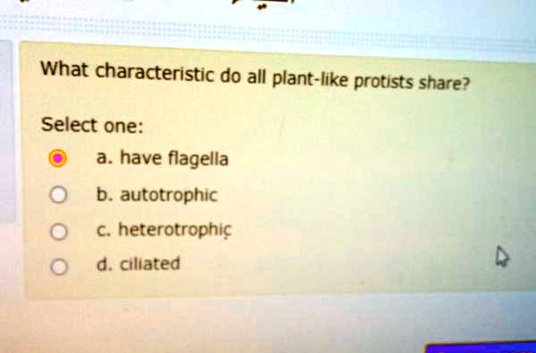 What characteristic do all plant-like protists share?

Select one:
a. have flagella
b. autotrophic
c. heterotrophic
d. ciliated