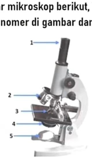 Materi Sains Mengenal Bagian Bagian Miksroskop Dan Pe Vrogue Co