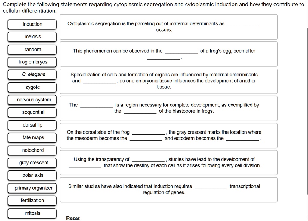 Complete the following statements regarding cytoplasmic segregation and cytoplasmic induction and how they contribute to
cellular differentiation.
Cytoplasmic segregation is the parceling out of maternal determinants as  occurs.
Specialization of cells and formation of organs are influenced by maternal determinants
and , as one embryonic tissue influences the development of another tissue.
The  is a region necessary for complete development, as exemplified by the  of the blastopore in frogs.
On the dorsal side of the frog , the gray crescent marks the location where
the mesoderm becomes the  and ectoderm becomes the .
Using the transparency of , studies have lead to the development of  that show the destiny of each cell as it arises following every cell division.
Similar studies have also indicated that induction requires  transcriptional regulation of genes.