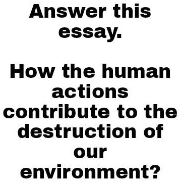 an essay on our environment
