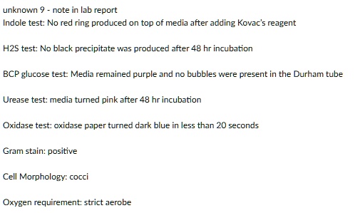 SOLVED: Note in lab report Indole test: No red ring produced on top of ...