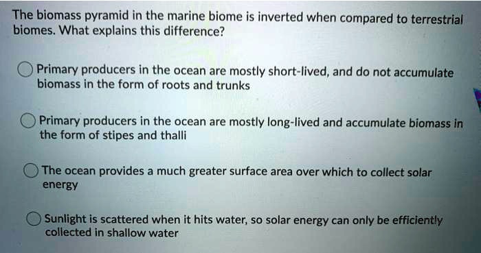 The biomass pyramid in the marine biome is inverted when compared to terrestrial biomes. What explains this difference?

Primary producers in the ocean are mostly short-lived, and do not accumulate biomass in the form of roots and trunks

Primary producers in the ocean are mostly long-lived and accumulate biomass in the form of stipes and thalli

The ocean provides a much greater surface area over which to collect solar energy

Sunlight is scattered when it hits water, so solar energy can only be efficiently collected in shallow water