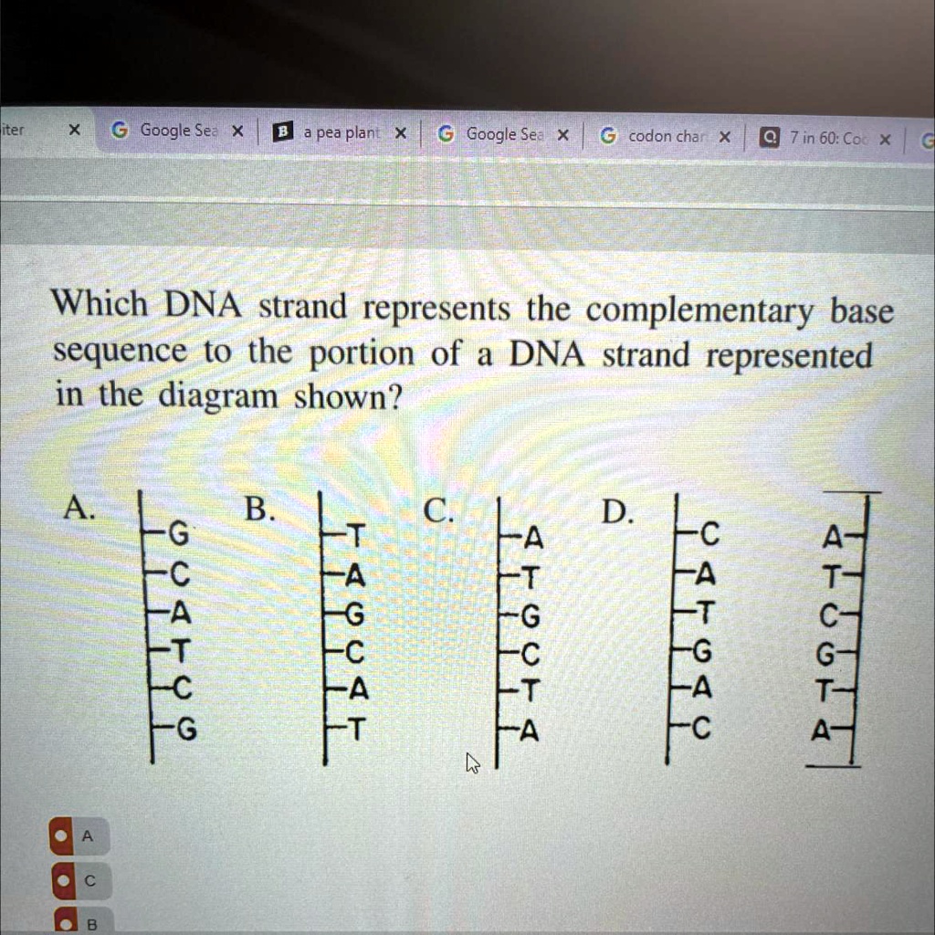 SOLVED: 'Which DNA Strand Represents The Complementary Base Sequence To ...