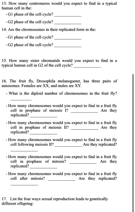 SOLVED: How many centromeres would you expect to find in a typical ...