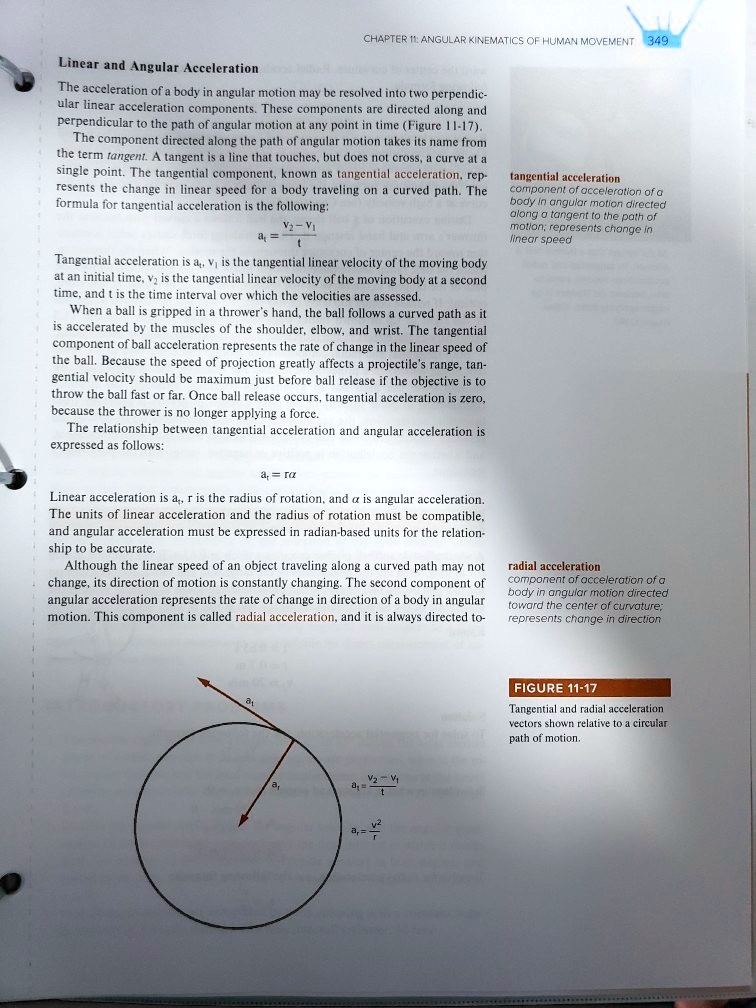 SOLVED: CHAPTER: ANGULAR KINEMATICS OF HUMAN MOVEMENT 349 Linear and ...
