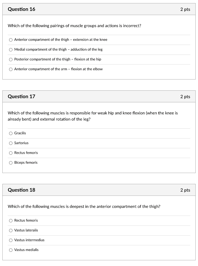 Question 16
Which of the following pairings of muscle groups and actions is incorrect?
Anterior compartment of the thigh - extension at the knee
Medial compartment of the thigh - adduction of the leg
Posterior compartment of the thigh - flexion at the hip
Anterior compartment of the arm - flexion at the elbow
Question 17
Which of the following muscles is responsible for weak hip and knee flexion (when the knee is already bent) and external rotation of the leg?
Gracilis
Sartorius
Rectus femoris
Biceps femoris
Question 18
Which of the following muscles is deepest in the anterior compartment of the thigh?
Rectus femoris
Vastus lateralis
Vastus intermedius
Vastus medialis