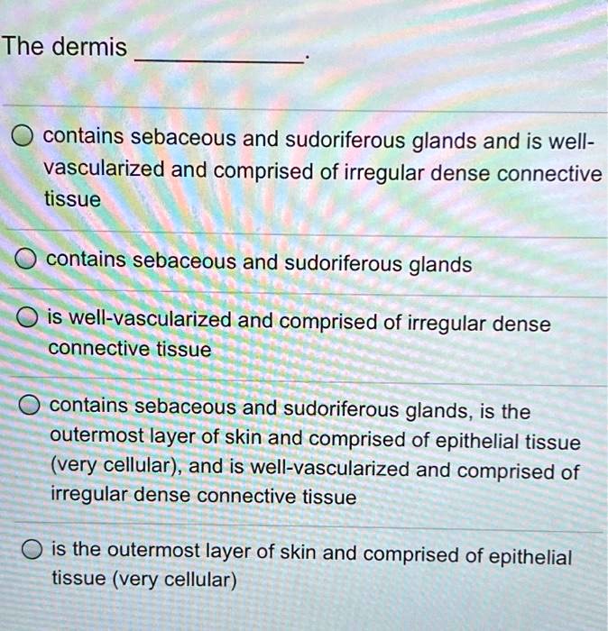the dermis contains sebaceous and sudoriferous glands and is well ...