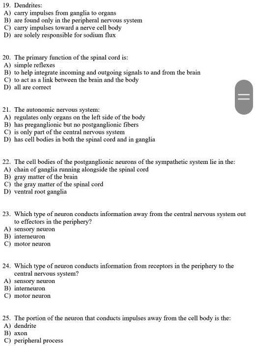 19. Dendrites:
A) carry impulses from ganglia to organs
B) are found only in the peripheral nervous system
C) carry impulses toward a nerve cell body
D) are solely responsible for sodium flux

20. The primary function of the spinal cord is:
A) simple reflexes
B) to help integrate incoming and outgoing signals to and from the brain
C) to act as a link between the brain and the body
D) all are correct

21. The autonomic nervous system:
A) regulates only organs on the left side of the body
B) has preganglionic but no postganglionic fibers
C) is only part of the central nervous system
D) has cell bodies in both the spinal cord and in ganglia

22. The cell bodies of the postganglionic neurons of the sympathetic system lie in the:
A) chain of ganglia running alongside the spinal cord
B) gray matter of the brain
C) the gray matter of the spinal cord
D) ventral root ganglia

23. Which type of neuron conducts information away from the central nervous system out to effectors in the periphery?
A) sensory neuron
B) interneuron
C) motor neuron

24. Which type of neuron conducts information from receptors in the periphery to the central nervous system?
A) sensory neuron
B) interneuron
C) motor neuron

25. The portion of the neuron that conducts impulses away from the cell body is the:
A) dendrite
B) axon
C) peripheral process