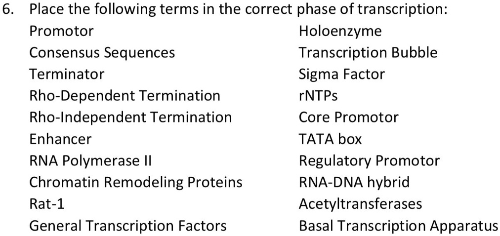 SOLVED:6 Place the following terms in the correct phase of ...