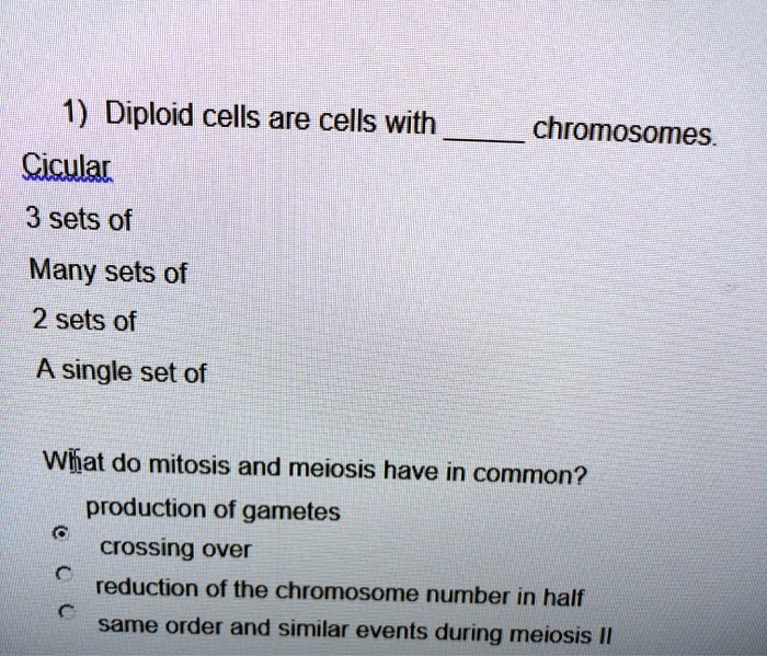 SOLVED Diploid cells are cells with Circular 3 sets of Many sets of 2 sets of A single set of
