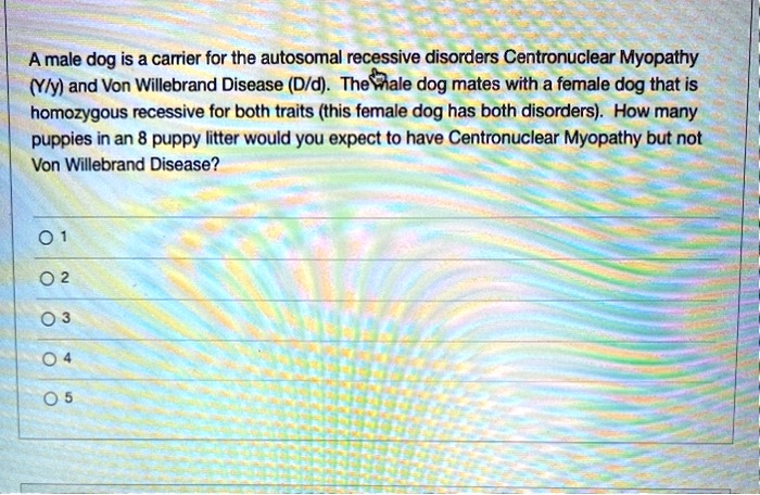 A male dog is a carrier for the autosomal recessive disorders Centronuclear Myopathy (Y/y) and Von Willebrand Disease (D/d). The male dog mates with a female dog that is homozygous recessive for both traits (this female dog has both disorders). How many puppies in an 8 puppy litter would you expect to have Centronuclear Myopathy but not Von Willebrand Disease?

1
2
3
4
5