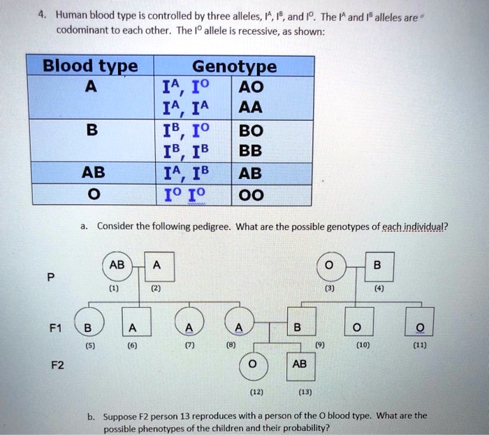 solved-human-blood-type-is-controlled-by-three-alleles-9-and