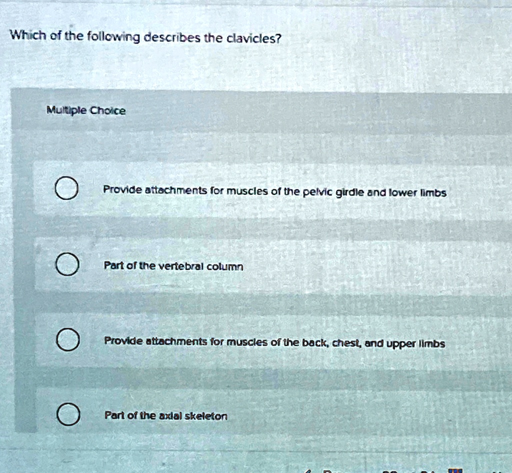 which of the following describes the clavicles multiple choice provide