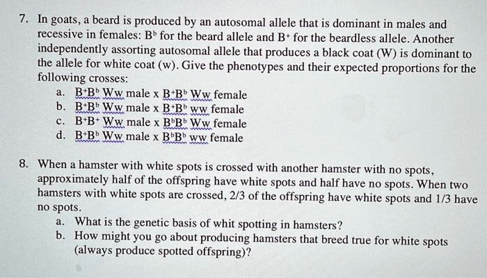 7. In goats, a beard is produced by an autosomal allele that is dominant in males and
recessive in females: B? for the beard allele and B? for the beardless allele. Another
independently assorting autosomal allele that produces a black coat (W) is dominant to
the allele for white coat (w). Give the phenotypes and their expected proportions for the
following crosses:
a. B? B? Ww male x B? B? Ww female
b. B? B? Ww male x B? B? ww female
c. B? B? Ww male x B? B? Ww female
d. B? B? Ww male x B? B? ww female

8. When a hamster with white spots is crossed with another hamster with no spots,
approximately half of the offspring have white spots and half have no spots. When two
hamsters with white spots are crossed, 2/3 of the offspring have white spots and 1/3 have
no spots.
a. What is the genetic basis of whit spotting in hamsters?
b. How might you go about producing hamsters that breed true for white spots
(always produce spotted offspring)?