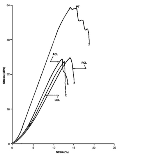 Stress (MPa) 64 48 PT ACL PCL 32 LCL 16 0 5 10 15 20 25 Strain (%)