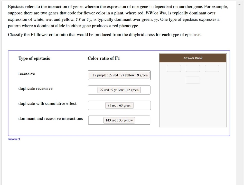 Epistasis refers to the interaction of genes wherein the expression of one gene is dependent on another gene. For example, suppose there are two genes that code for flower color in a plant, where red, WW or Ww, is typically dominant over expression of white, ww, and yellow, YY or Yy, is typically dominant over green, yy. One type of epistasis expresses a pattern where a dominant allele in either gene produces a red phenotype.

Classify the F1 flower color ratio that would be produced from the dihybrid cross for each type of epistasis.

Type of epistasis
Color ratio of F1
Answer Bank
recessive
117 purple : 27 red : 27 yellow : 9 green
duplicate recessive
27 red : 9 yellow : 12 green
duplicate with cumulative effect
81 red : 63 green
dominant and recessive interactions
143 red : 33 yellow