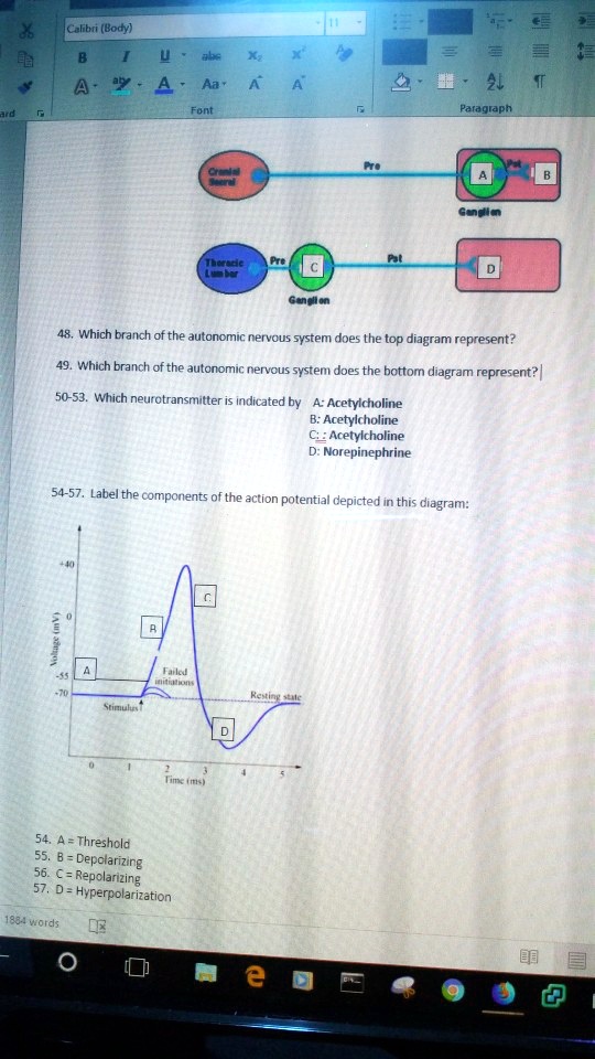 48. Which branch of the autonomic nervous system does the...
