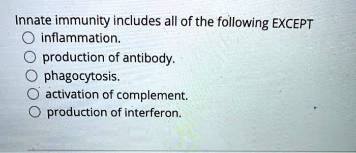 Innate immunity includes all of the following EXCEPT
inflammation.
production of antibody.
phagocytosis.
activation of complement.
production of interferon.