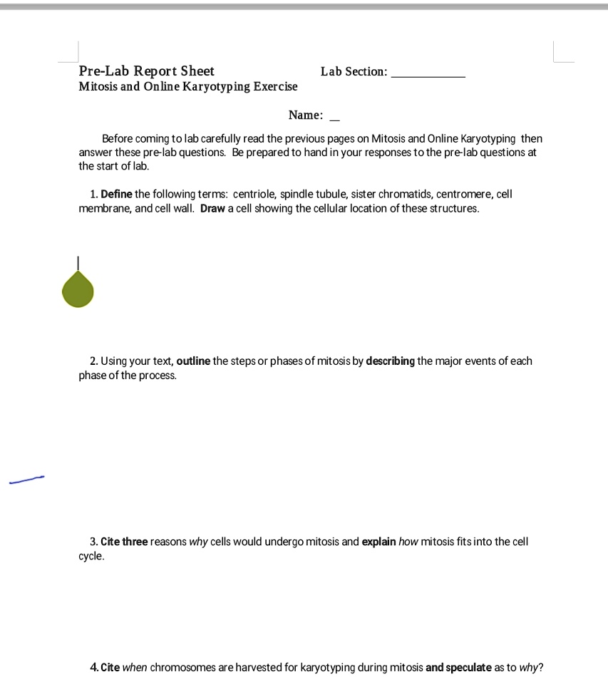 SOLVED PreLab Report Sheet Lab Section Mitosis and Online