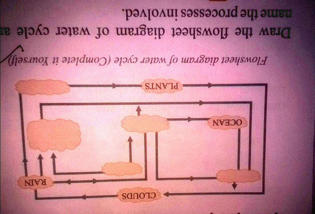 SOLVED: 'flowsheet diagram of water cycle'