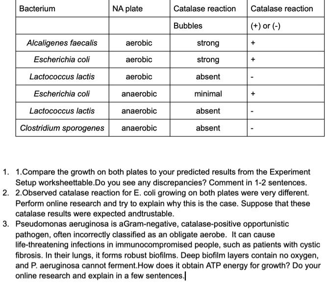 SOLVED Bacterium NA plate Catalase reaction Catalase reaction Bubbles SOLVED Bacterium NA plate Catalase reaction Catalase reaction Bubbles
