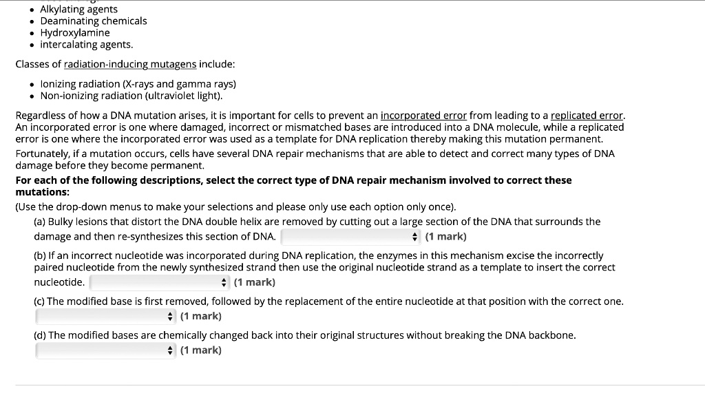 • Alkylating agents
• Deaminating chemicals
• Hydroxylamine
• intercalating agents.

Classes of radiation-inducing mutagens include:

• Ionizing radiation (X-rays and gamma rays)
• Non-ionizing radiation (ultraviolet light).

Regardless of how a DNA mutation arises, it is important for cells to prevent an incorporated error from leading to a replicated error. An incorporated error is one where damaged, incorrect or mismatched bases are introduced into a DNA molecule, while a replicated error is one where the incorporated error was used as a template for DNA replication thereby making this mutation permanent. Fortunately, if a mutation occurs, cells have several DNA repair mechanisms that are able to detect and correct many types of DNA damage before they become permanent.

For each of the following descriptions, select the correct type of DNA repair mechanism involved to correct these mutations:
(Use the drop-down menus to make your selections and please only use each option only once).

(a) Bulky lesions that distort the DNA double helix are removed by cutting out a large section of the DNA that surrounds the damage and then re-synthesizes this section of DNA. (1 mark)

(b) If an incorrect nucleotide was incorporated during DNA replication, the enzymes in this mechanism excise the incorrectly paired nucleotide from the newly synthesized strand then use the original nucleotide strand as a template to insert the correct nucleotide. (1 mark)

(c) The modified base is first removed, followed by the replacement of the entire nucleotide at that position with the correct one. (1 mark)

(d) The modified bases are chemically changed back into their original structures without breaking the DNA backbone. (1 mark)