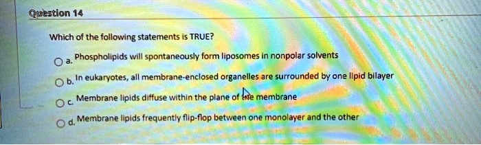 Which of the following statements is TRUE?
a. Phospholipids will spontaneously form liposomes in nonpolar solvents
b. In eukaryotes, all membrane-enclosed organelles are surrounded by one lipid bilayer
c. Membrane lipids diffuse within the plane of the membrane
d. Membrane lipids frequently flip-flop between one monolayer and the other