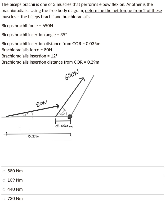 SOLVED The biceps brachii is one of three muscles that perform elbow