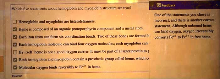 Which five statements about hemoglobin and myoglobin structure are true?

Hemoglobin and myoglobin are heterotetramers.
Heme is composed of an organic protoporphyrin component and a metal atom.
Each iron atom can form six coordination bonds. Two of these bonds are formed b
Each hemoglobin molecule can bind four oxygen molecules; each myoglobin can
By itself, heme is not a good oxygen carrier. It must be part of a larger protein to p
Both hemoglobin and myoglobin contain a prosthetic group called heme, which co
Molecular oxygen binds reversibly to Fe2+ in heme.