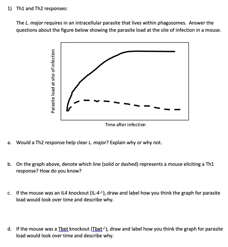 Solved 1 Thl And Th2 Responses The L Major Requires In An Intracellular Parasite That Lives Within Phagosomes Answer The Questions About The Figure Below Showing The Parasite Load At The Site Of