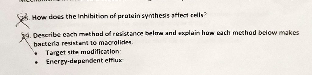 28. How does the inhibition of protein synthesis affect cells?
29. Describe each method of resistance below and explain how each method below makes
bacteria resistant to macrolides.
Target site modification:
Energy-dependent efflux: