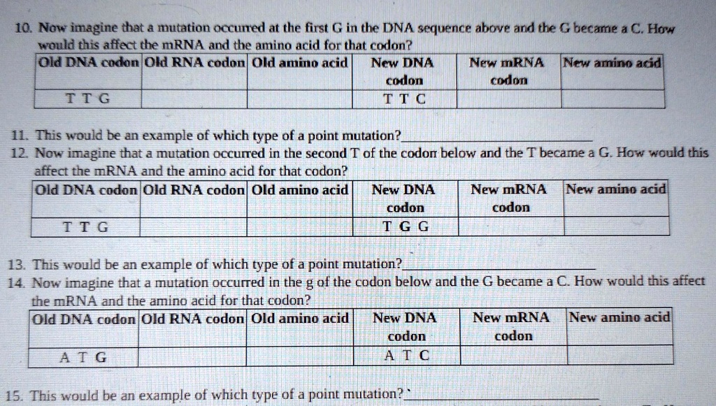 SOLVED: 10. Now imagine that a mutation occurred at the first G in the ...