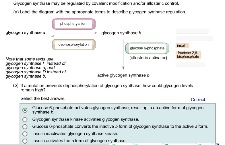 SOLVED: Glycogen synthase may be regulated by covalent modification and
