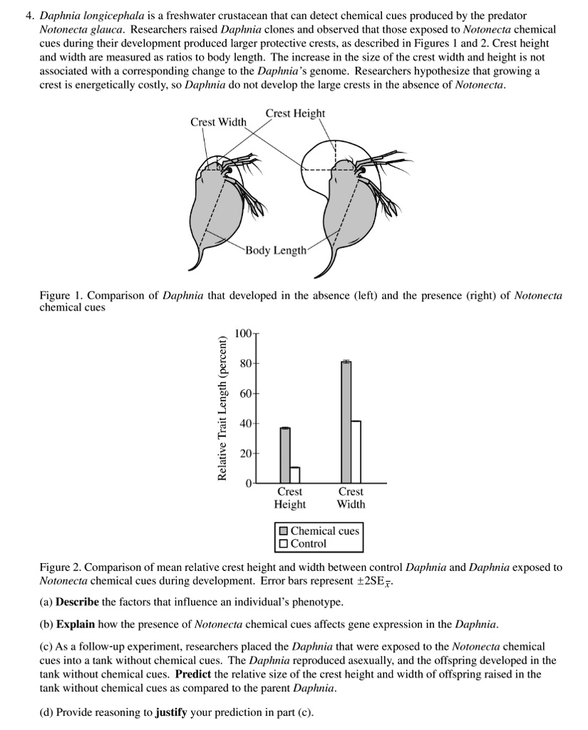 SOLVED Daphnia longicephala is a freshwater crustacean that can detect